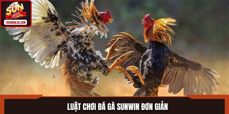 Luật chơi Đá gà SUNWIN đơn giản, dễ hiểu với bet thủ